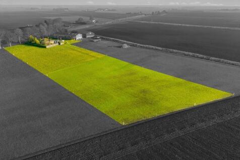 Rojan (New Leake)-10