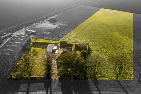 Rojan (New Leake)-12