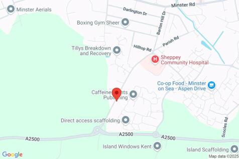 Google Maps Image