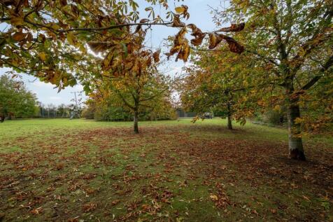 251023 - Silver Birches, Bolnhurst - 65.jpg