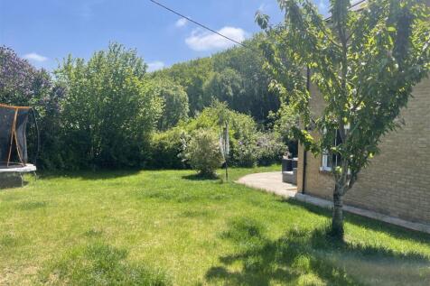 garden 1.jpg