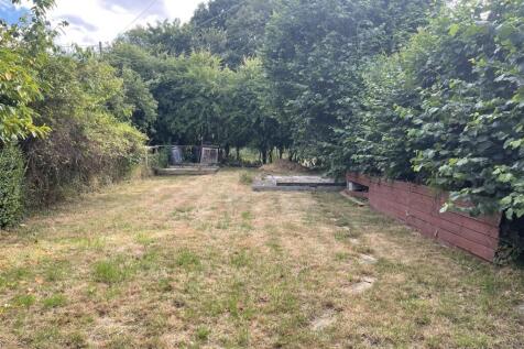 garden 1.jpg