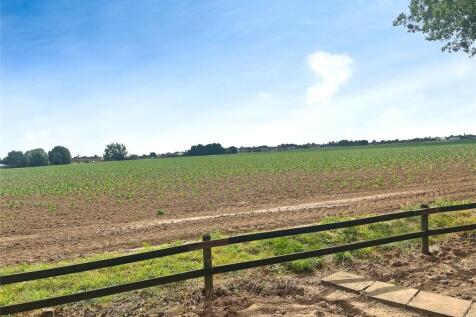 Field View