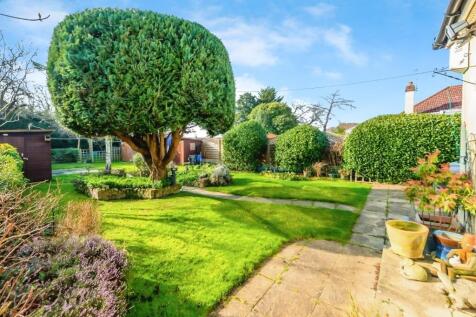 Rear Garden View 2