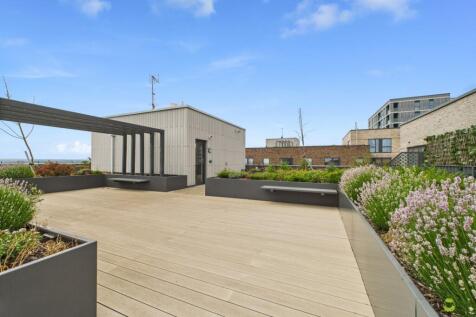Roof Terrace