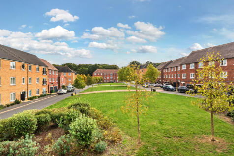 1364883-5-68e6477...