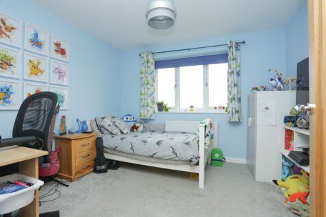 Picture 15