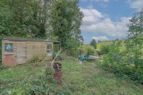 Picture 23