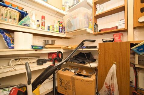 Picture 14