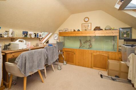 Picture 10