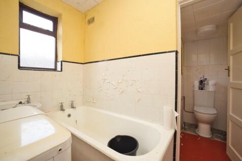 Picture 8