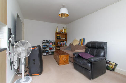 Picture 8