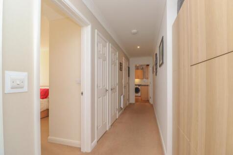 Picture 8