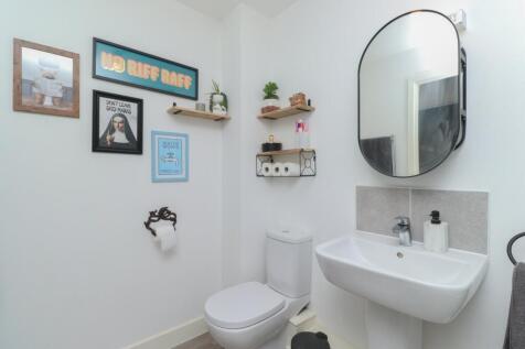 Picture 7