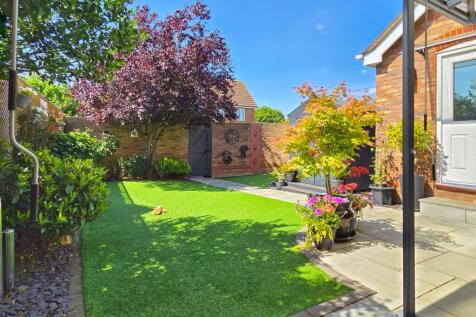 Property Image 14