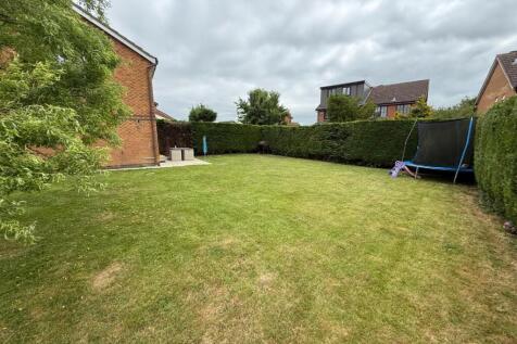 Garden3.JPG