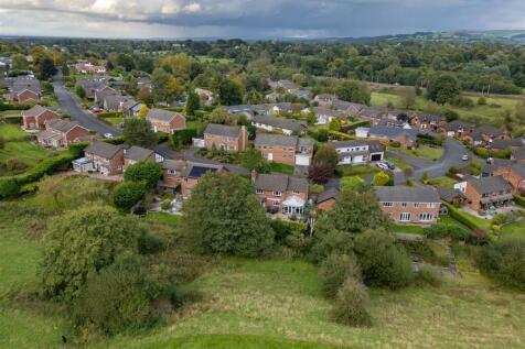 DJI_0455.jpg