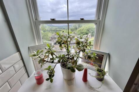 Window View