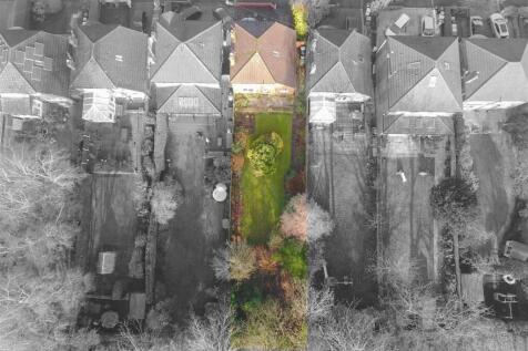 Plot view