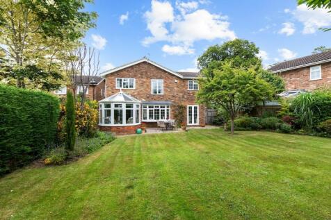 Property Image 18