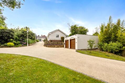 Property Image 41