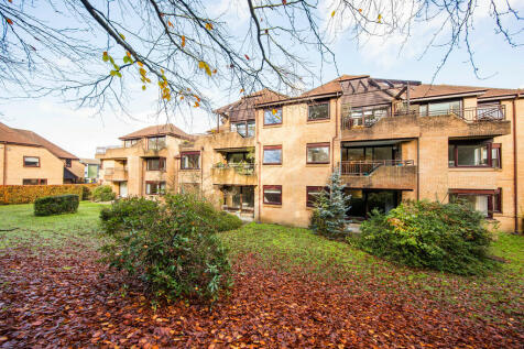 Property Image 13
