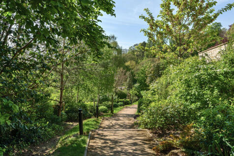Path