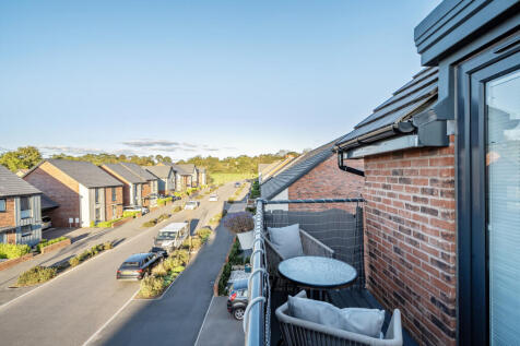 1356916-8-68d1a19...