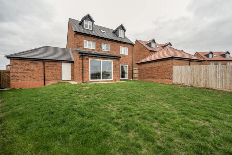 1365395-7-68e8d7d...