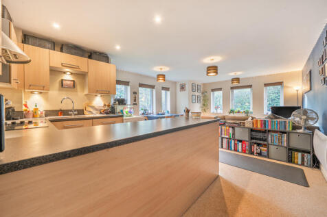 1382668-1-691c79d...