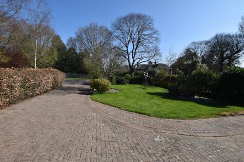 Property Image 23