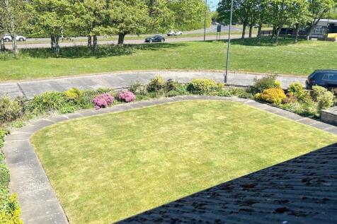 Front Garden 2