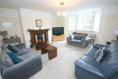 Basement Living Room