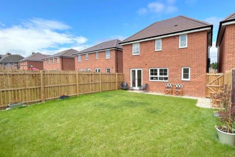 Rear Garden (2)