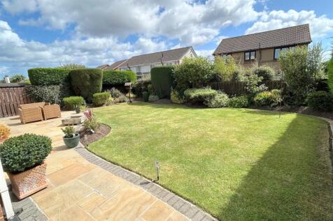 Rear Garden (2)