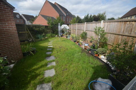new garden photo