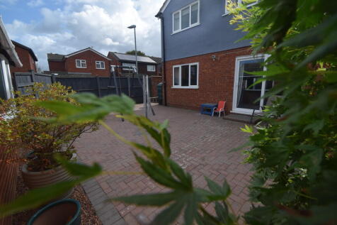 rear garden 2