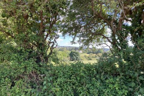 image00004.jpeg