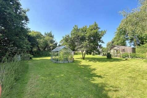 Garden 2.jpg
