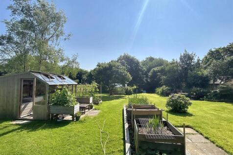 Garden 5.jpg