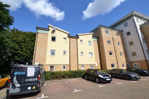 Rear / Parking
