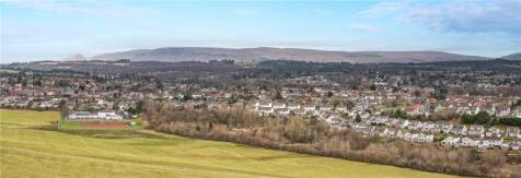 Mosshead