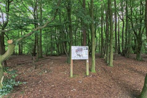 Cairnhill Woods