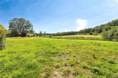 Meadow