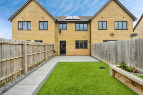 Back Garden