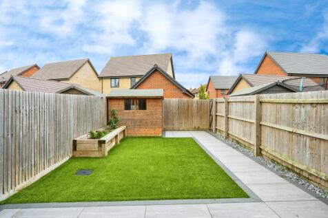 Back Garden