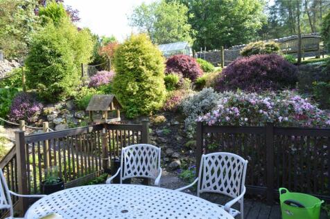 Garden 2023