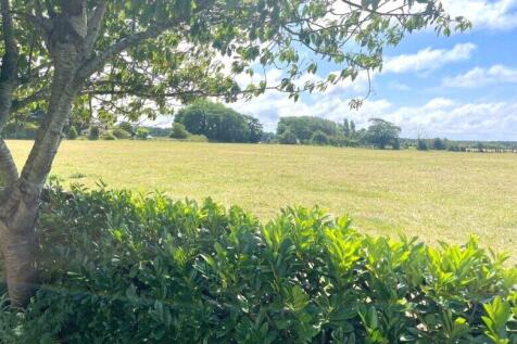 Garden Views