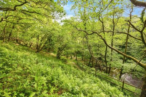 Woodland
