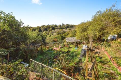 Vegetable Patch